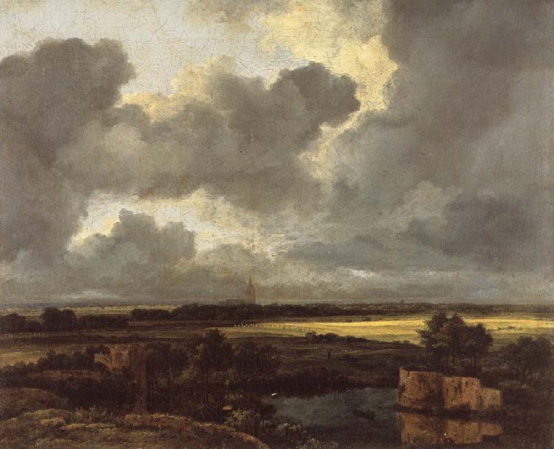 Jacob van Ruisdael An Extensive Landscape with Ruins Norge oil painting art